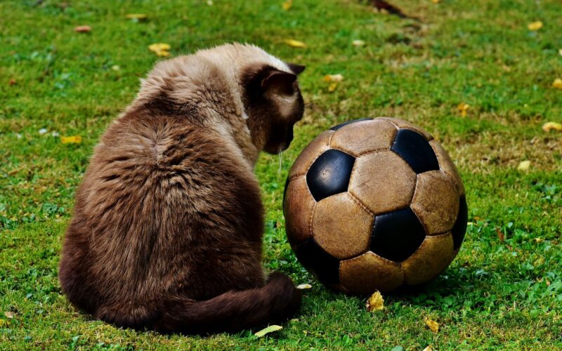 Gols (mais/menos)