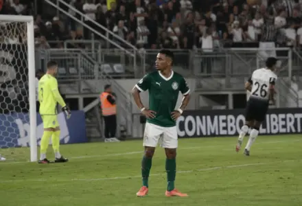 Palmeiras amplia a premiação na Libertadores após classificação à final
