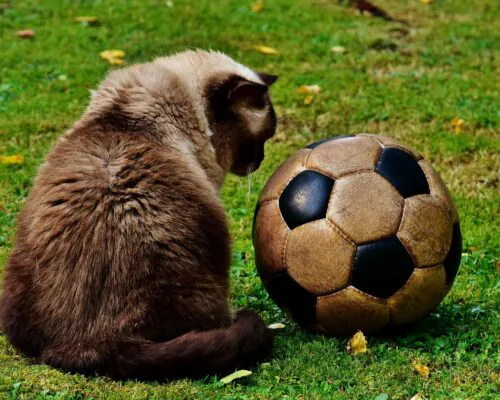 Gols (mais/menos)